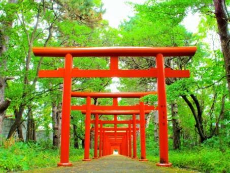 Kyonoya Fushimi Inari Βίλα Κιότο Εξωτερικό φωτογραφία